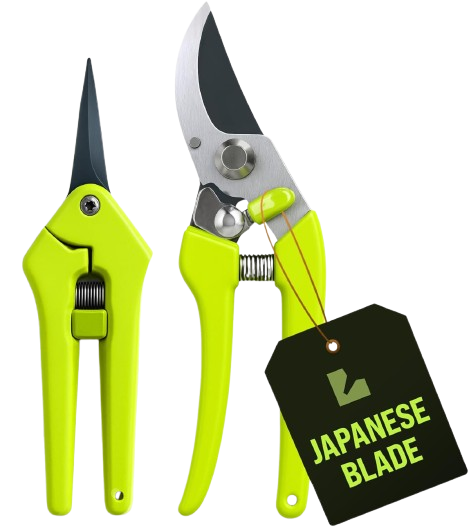 61JdE4PnUsL._AC_SL1500___1_-removebg-preview