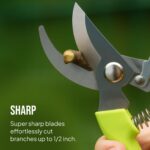 2-Pack Stainless Steel Gardening Scissors - Image 5