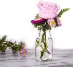 Glass Jars with Lids - Image 2