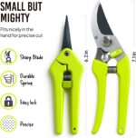 2-Pack Stainless Steel Gardening Scissors - Image 7