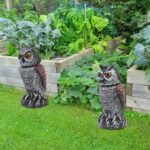 HEDOC 2 Pack Fake Owl Decoys to Scare Birds Away - Image 2